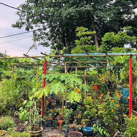 Atocha Homestay - Terong@Taiping Kampong Salak Екстериор снимка