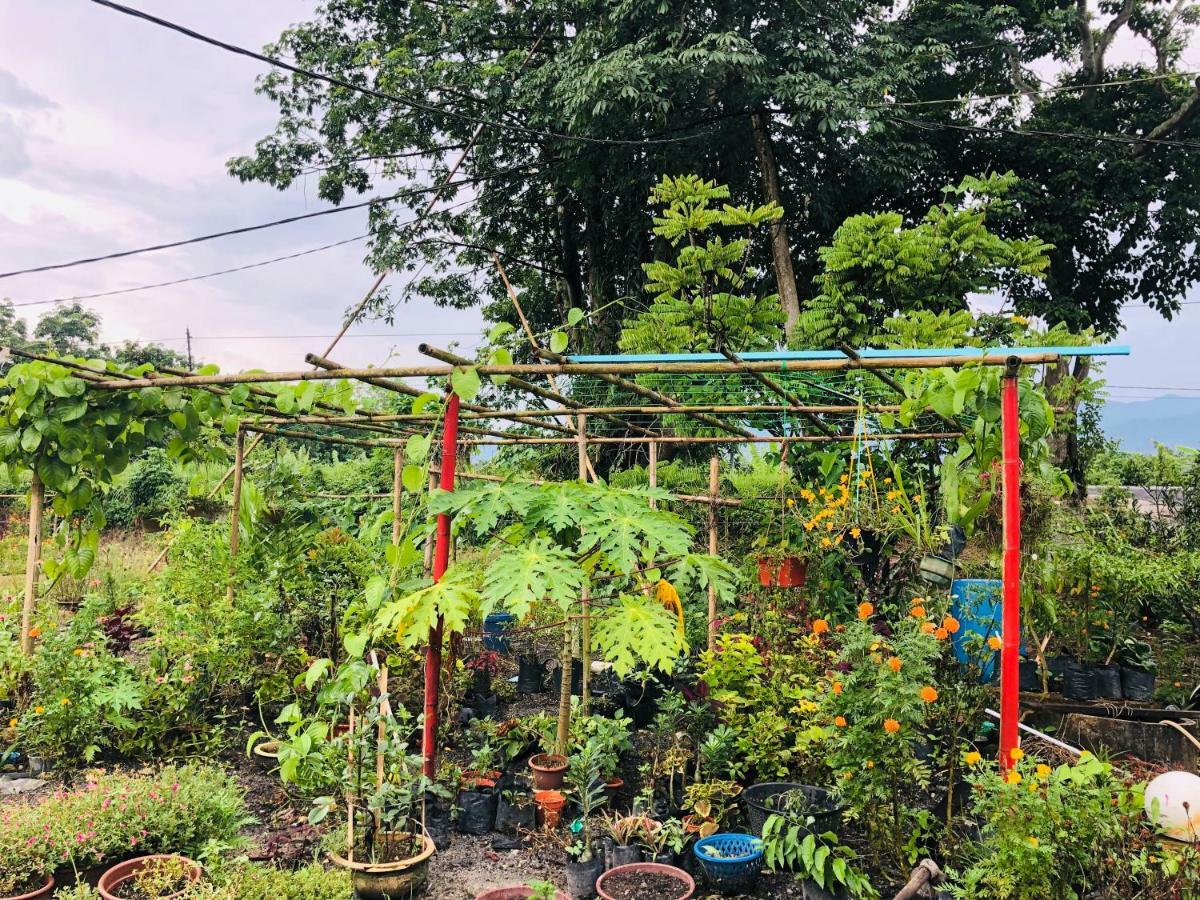 Atocha Homestay - Terong@Taiping Kampong Salak Екстериор снимка
